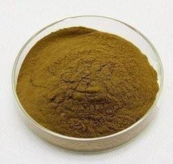 mullein extract