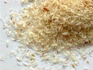 سائیلیئم ہسکی پاؤڈر