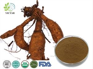 Pueraria اقتباس