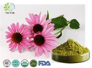نامیاتی Echinacea کے نچوڑ