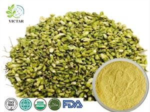 سوفورا Japonica نکالیں