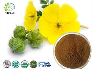 Tribulus Terrestris اقتباس