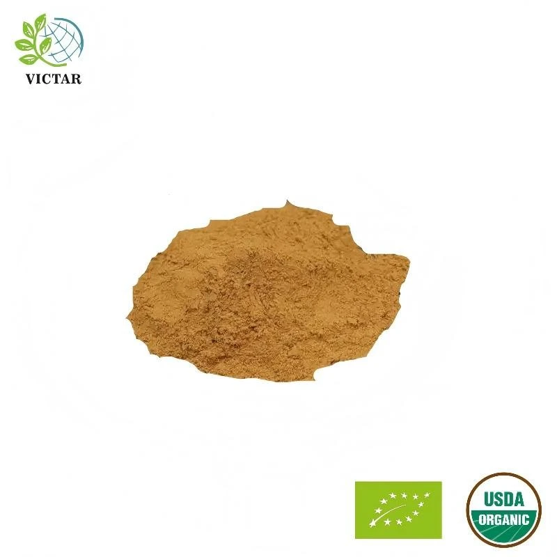 نامیاتی Agaricus Blazei ایکسٹریکٹ پاؤڈر