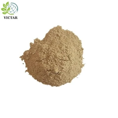 Astragalus پاؤڈر